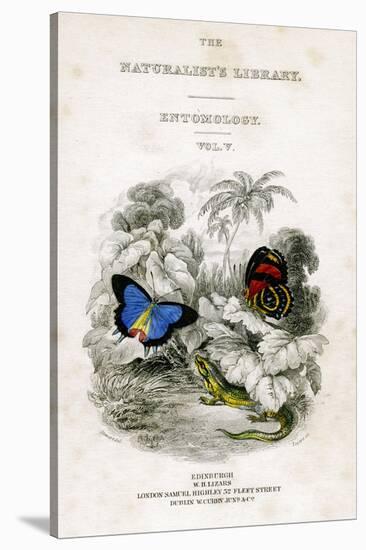 The Naturalist's Library, Entomology, Vol V, Butterflies, C1833-1865-William Home Lizars-Stretched Canvas