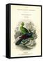 The Naturalist's Library, Ornithology, Senegal Touraco, Violet Plantain Eater, C1833-1865-William Home Lizars-Framed Stretched Canvas