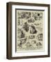 The Nautical Adventures of a Cat-null-Framed Giclee Print