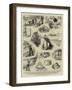 The Nautical Adventures of a Cat-null-Framed Giclee Print