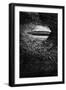 The Nautilus0,000 Leagues under the Sea-null-Framed Photographic Print