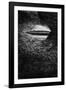 The Nautilus0,000 Leagues under the Sea-null-Framed Photographic Print