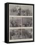 The Naval Manoeuvres, Snapshots on Board HMS Hermione-null-Framed Stretched Canvas