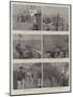 The Naval Manoeuvres, Snapshots on Board HMS Hermione-null-Mounted Giclee Print