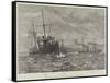 The Naval Manoeuvres, Torpedo-Catchers Off the Wicklow Coast-null-Framed Stretched Canvas