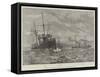 The Naval Manoeuvres, Torpedo-Catchers Off the Wicklow Coast-null-Framed Stretched Canvas