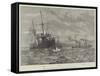 The Naval Manoeuvres, Torpedo-Catchers Off the Wicklow Coast-null-Framed Stretched Canvas