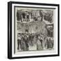 The Naval Volunteers' Ball Held at Glasgow-null-Framed Giclee Print