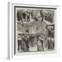 The Naval Volunteers' Ball Held at Glasgow-null-Framed Giclee Print