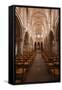 The Nave in the Church of Notre Dame, Saint Pere, Yonne, Burgundy, France, Europe-Julian Elliott-Framed Stretched Canvas