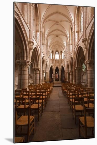 The Nave in the Church of Notre Dame, Saint Pere, Yonne, Burgundy, France, Europe-Julian Elliott-Mounted Photographic Print