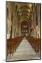 The Nave of Basilique Saint Remi-Julian Elliott-Mounted Photographic Print
