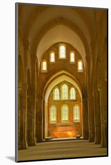 The Nave of Fontenay Abbey, UNESCO World Heritage Site, Cote D'Or, Burgundy, France, Europe-Julian Elliott-Mounted Photographic Print