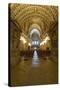 The Nave of Notre-Dame Des Doms D'Avignon Cathedral, Avignon, Vaucluse, France, Europe-Julian Elliott-Stretched Canvas