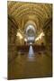 The Nave of Notre-Dame Des Doms D'Avignon Cathedral, Avignon, Vaucluse, France, Europe-Julian Elliott-Mounted Photographic Print