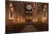 The Nave of Strasbourg Cathedral, Strasbourg, Bas-Rhin, Alsace, France, Europe-Julian Elliott-Mounted Photographic Print