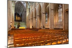 The Nave of York Minster-Julian Elliott-Mounted Photographic Print