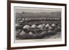 The Nearest Matabele Kraal to Buluwayo-null-Framed Giclee Print