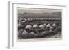 The Nearest Matabele Kraal to Buluwayo-null-Framed Giclee Print