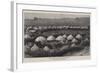 The Nearest Matabele Kraal to Buluwayo-null-Framed Giclee Print