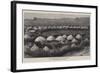 The Nearest Matabele Kraal to Buluwayo-null-Framed Giclee Print