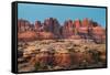 The Needles Canyonlands National Park-Alan Majchrowicz-Framed Stretched Canvas