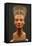 The Nefertiti Bust, Ca 1350 Bc-null-Framed Stretched Canvas