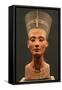 The Nefertiti Bust, Ca 1350 Bc-null-Framed Stretched Canvas