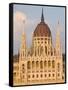 The Neo-Gothic Hungarian Parliament Building, Designed By Imre Steindl, Budapest, Hungary-Neale Clarke-Framed Stretched Canvas