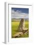 The Neolithic Swinside Stone Circle (Sunkenkirk Stone Circle)-Julian Elliott-Framed Photographic Print