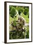 The Neptune Fountain, Boboli Gardens, Florence, UNESCO World Heritage Site, Tuscany, Italy, Europe-Nico Tondini-Framed Photographic Print