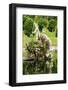 The Neptune Fountain, Boboli Gardens, Florence, UNESCO World Heritage Site, Tuscany, Italy, Europe-Nico Tondini-Framed Photographic Print