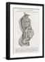 The Nervous System of the Spine-Louis Figuier-Framed Art Print