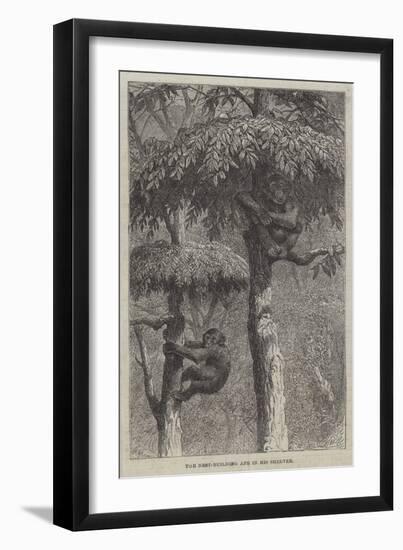 The Nest-Building Ape in His Shelter-Joseph Wolf-Framed Giclee Print