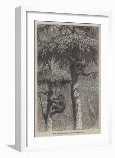 The Nest-Building Ape in His Shelter-Joseph Wolf-Framed Giclee Print