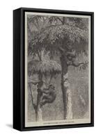 The Nest-Building Ape in His Shelter-Joseph Wolf-Framed Stretched Canvas