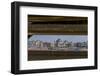 The Netherlands, Den Haag, Scheveningen, Seaside Resort, Beach-Ingo Boelter-Framed Photographic Print