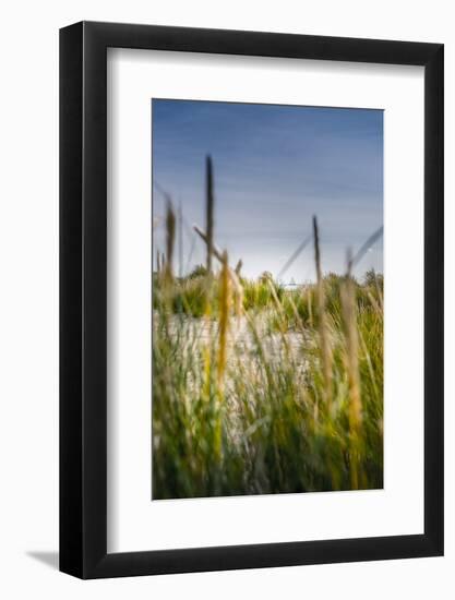 The Netherlands, Frisia, Terschelling, Dunes, Beach, Sea-Ingo Boelter-Framed Photographic Print