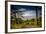 The Netherlands, Frisia, Terschelling, Dunes, Pine, Pinewood-Ingo Boelter-Framed Photographic Print