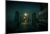 The Netherlands, Frisia, Terschelling, Harbour, Night, Moon-Ingo Boelter-Mounted Photographic Print