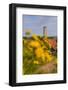 The Netherlands, Frisia, Terschelling, Lighthouse-Ingo Boelter-Framed Photographic Print