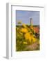 The Netherlands, Frisia, Terschelling, Lighthouse-Ingo Boelter-Framed Photographic Print