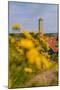 The Netherlands, Frisia, Terschelling, Lighthouse-Ingo Boelter-Mounted Photographic Print