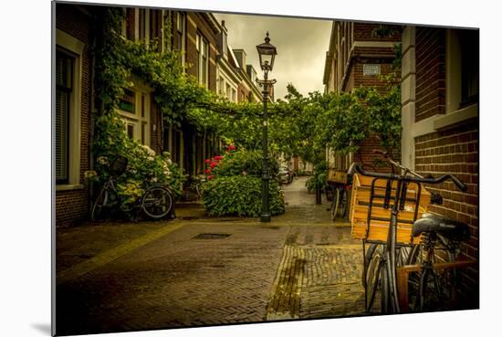 The Netherlands, Haarlem, Street, Lane-Ingo Boelter-Mounted Photographic Print