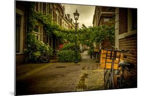 The Netherlands, Haarlem, Street, Lane-Ingo Boelter-Mounted Photographic Print