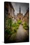 The Netherlands, Haarlem, Street, Lane-Ingo Boelter-Stretched Canvas