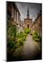 The Netherlands, Haarlem, Street, Lane-Ingo Boelter-Mounted Photographic Print