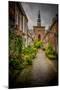 The Netherlands, Haarlem, Street, Lane-Ingo Boelter-Mounted Photographic Print