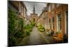The Netherlands, Haarlem, Street, Lane-Ingo Boelter-Mounted Photographic Print