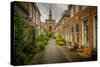 The Netherlands, Haarlem, Street, Lane-Ingo Boelter-Stretched Canvas